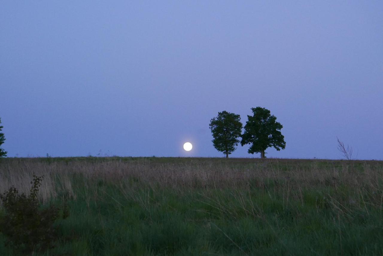 Róże i Jabłonie Agroturystyka Gryfów Śląski Exterior foto