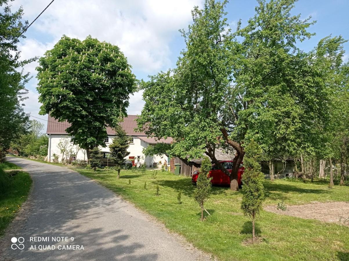 Róże i Jabłonie Agroturystyka Gryfów Śląski Exterior foto