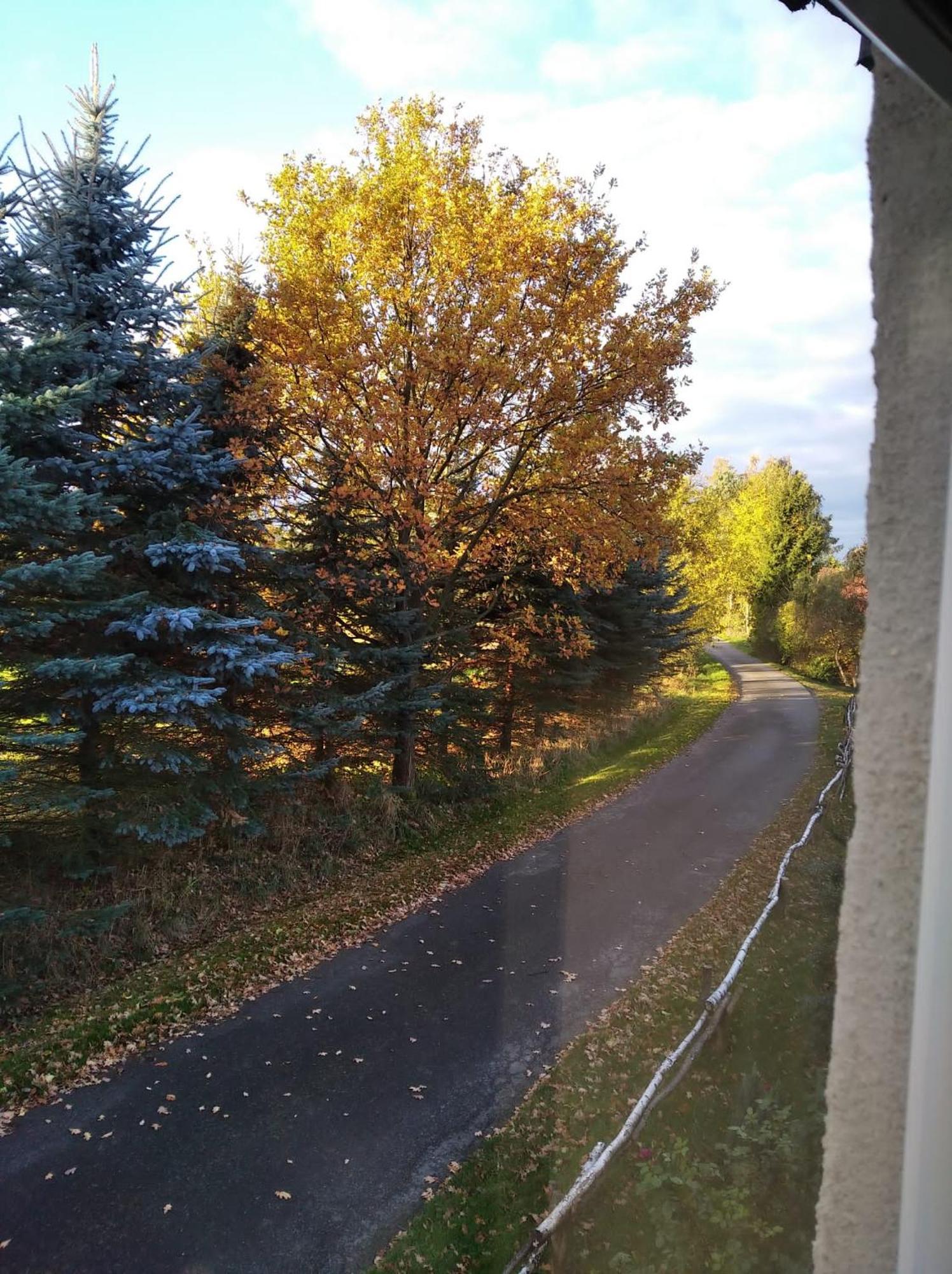Róże i Jabłonie Agroturystyka Gryfów Śląski Exterior foto
