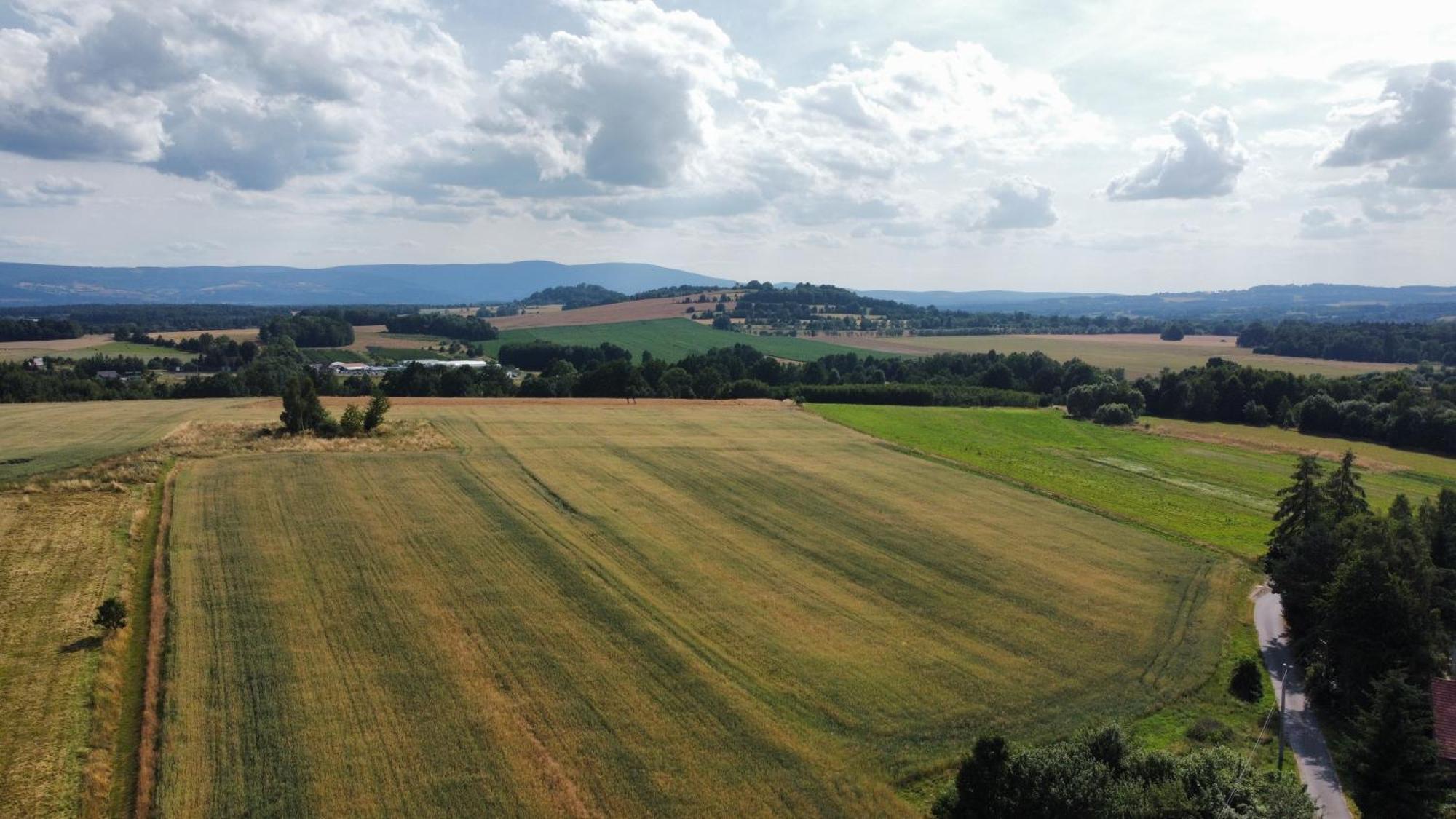 Róże i Jabłonie Agroturystyka Gryfów Śląski Exterior foto
