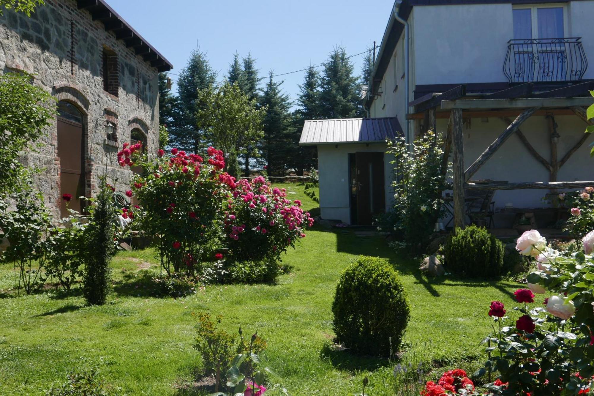 Róże i Jabłonie Agroturystyka Gryfów Śląski Exterior foto