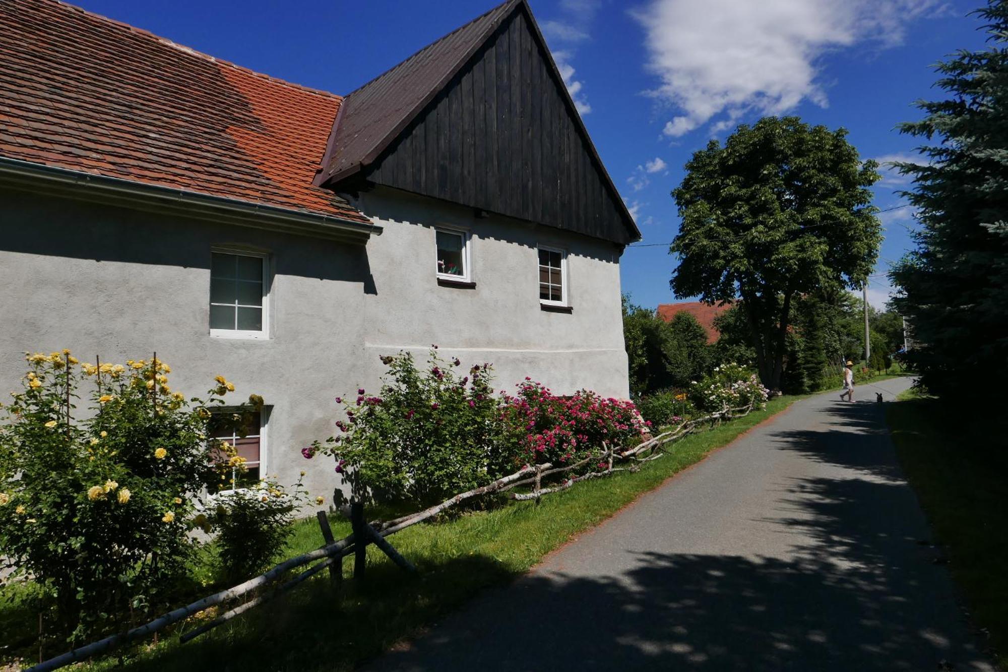 Róże i Jabłonie Agroturystyka Gryfów Śląski Exterior foto