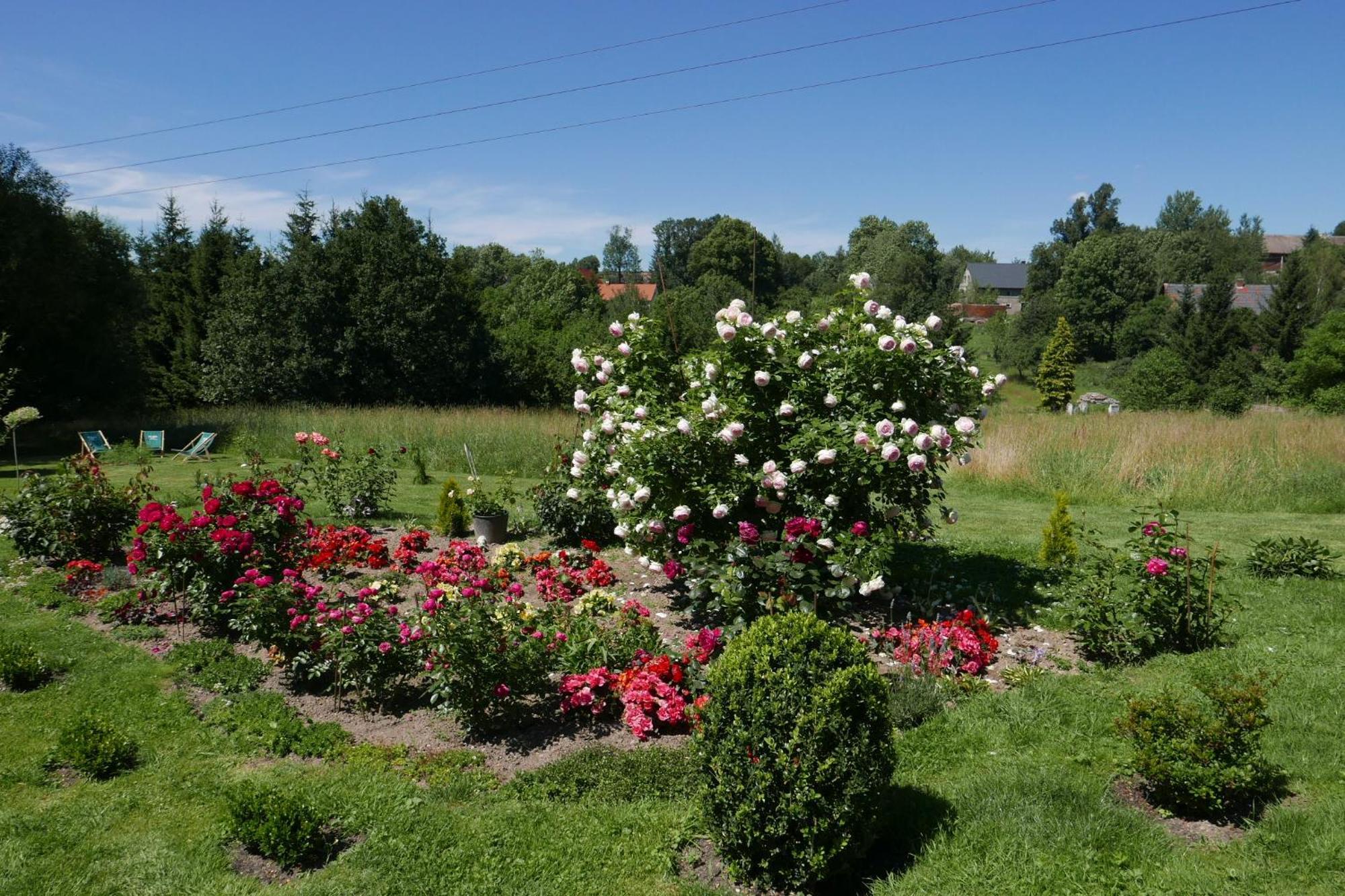 Róże i Jabłonie Agroturystyka Gryfów Śląski Exterior foto