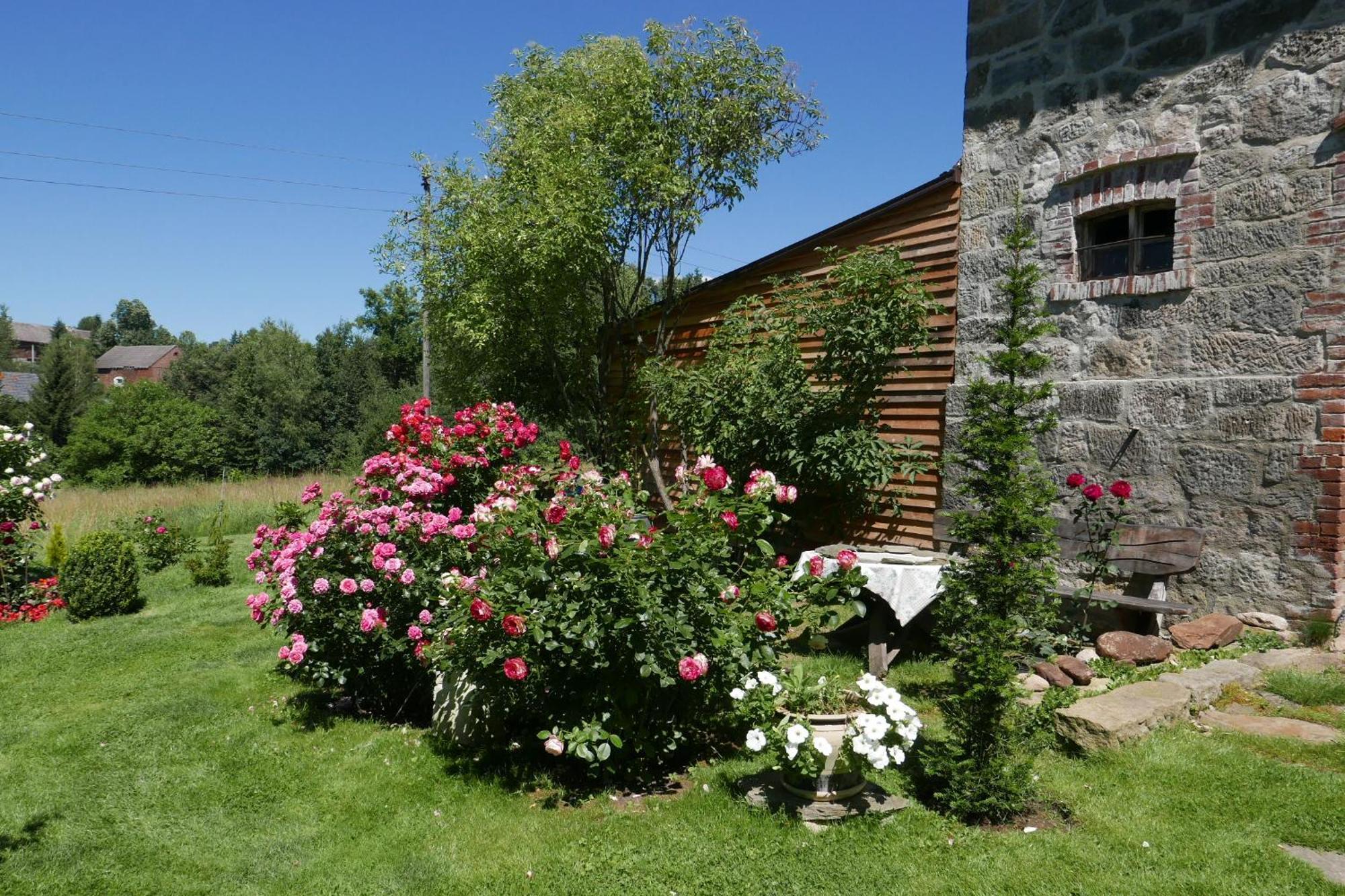 Róże i Jabłonie Agroturystyka Gryfów Śląski Exterior foto