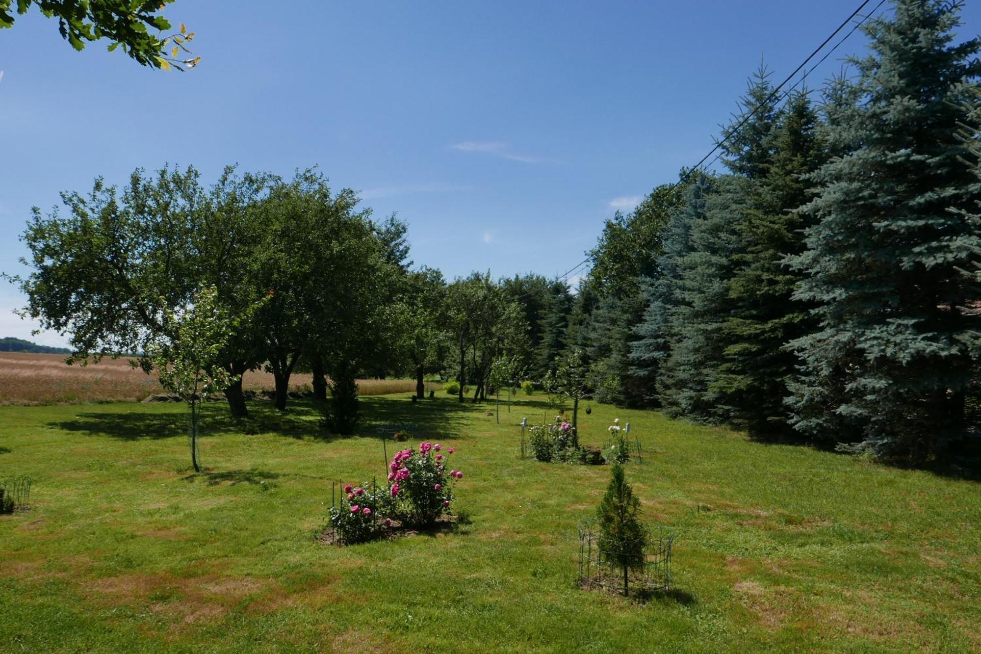 Róże i Jabłonie Agroturystyka Gryfów Śląski Exterior foto